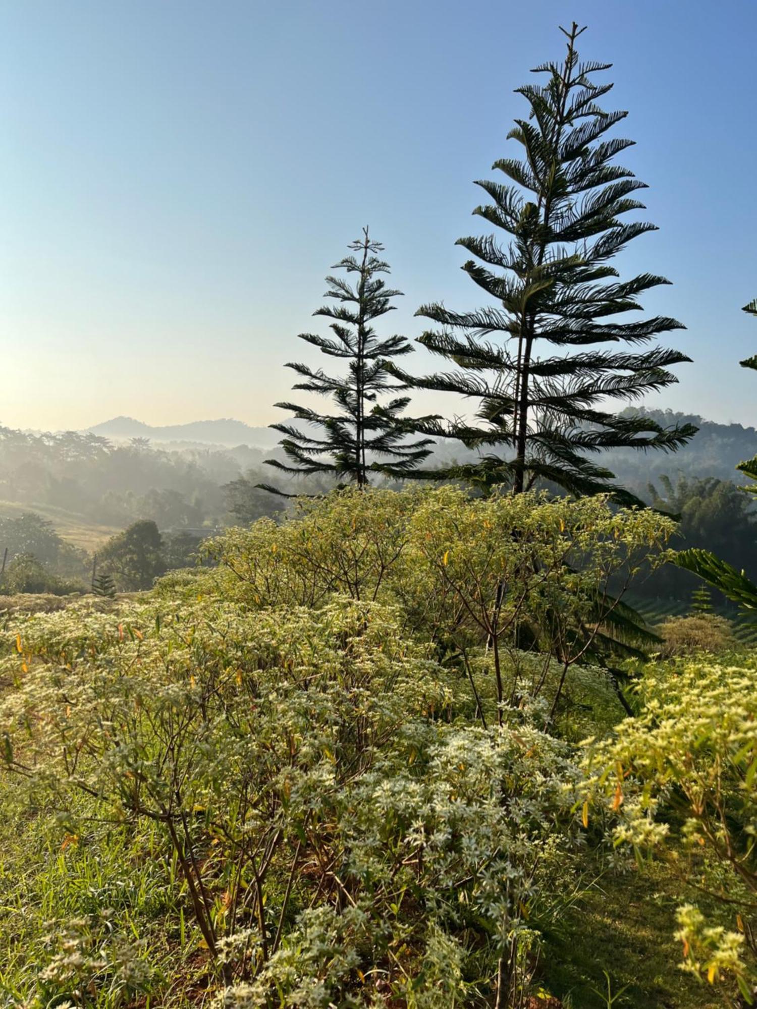 One&Only Homestay Khao Kho Exterior photo